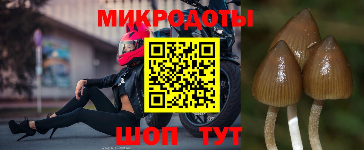 Галлюциногенные грибы Psilocybine cubensis  Галлюциногенные грибы ЛСД  Вход с VPN  Партизанск 